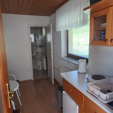 Rooms-apartment Renata 2*